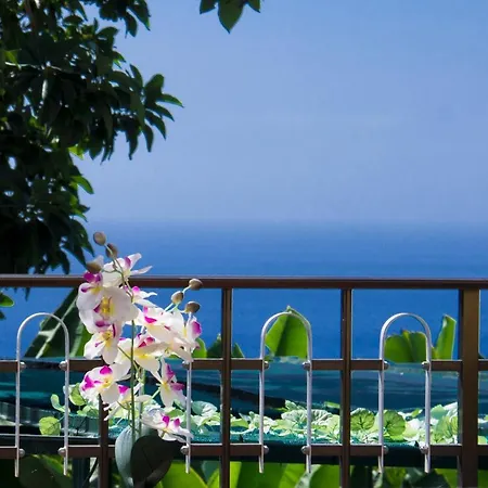 Tabua Suites I Holiday home Ribeira Brava